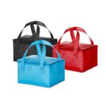 BOLSA TÉRMICA 10 LITROS - BOLTERM0037